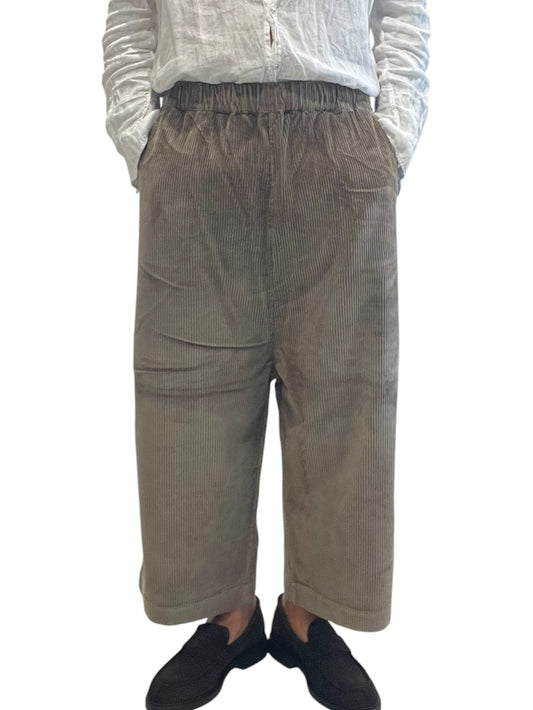 Pantalone in Velluto Type 156